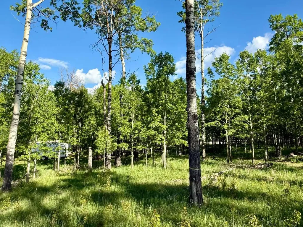 5228 Highway 579 Rural Mountain View County AB T0M 2E0