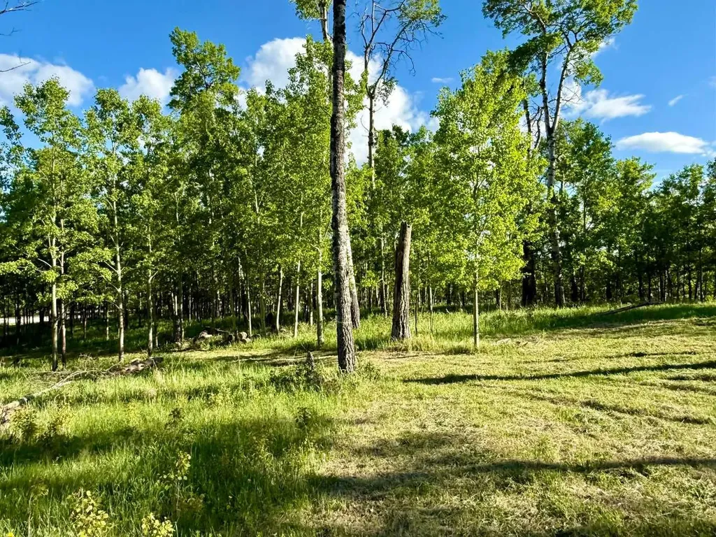5228 Highway 579 Rural Mountain View County AB T0M 2E0