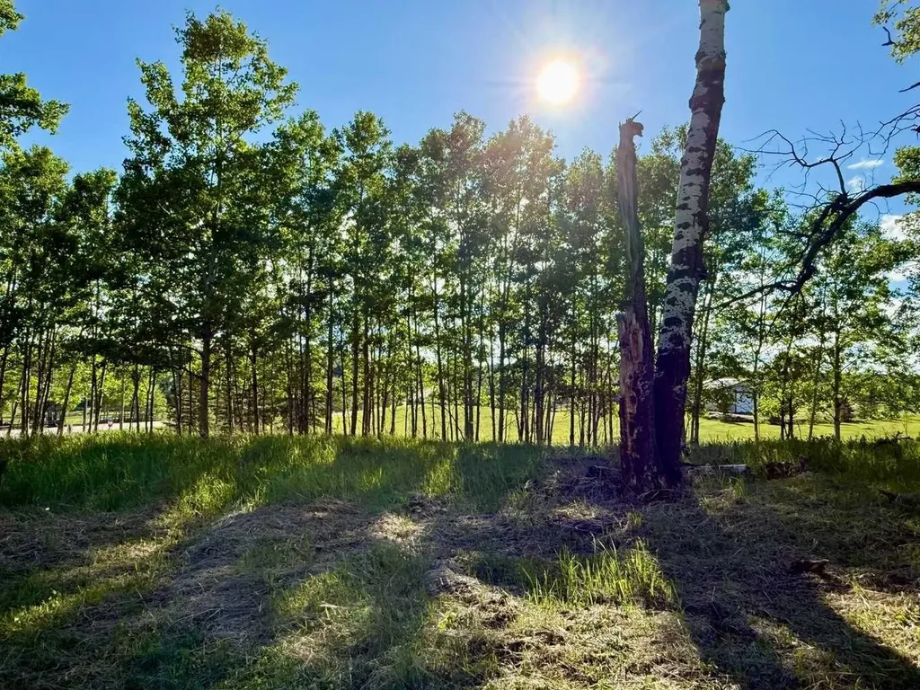5228 Highway 579 Rural Mountain View County AB T0M 2E0