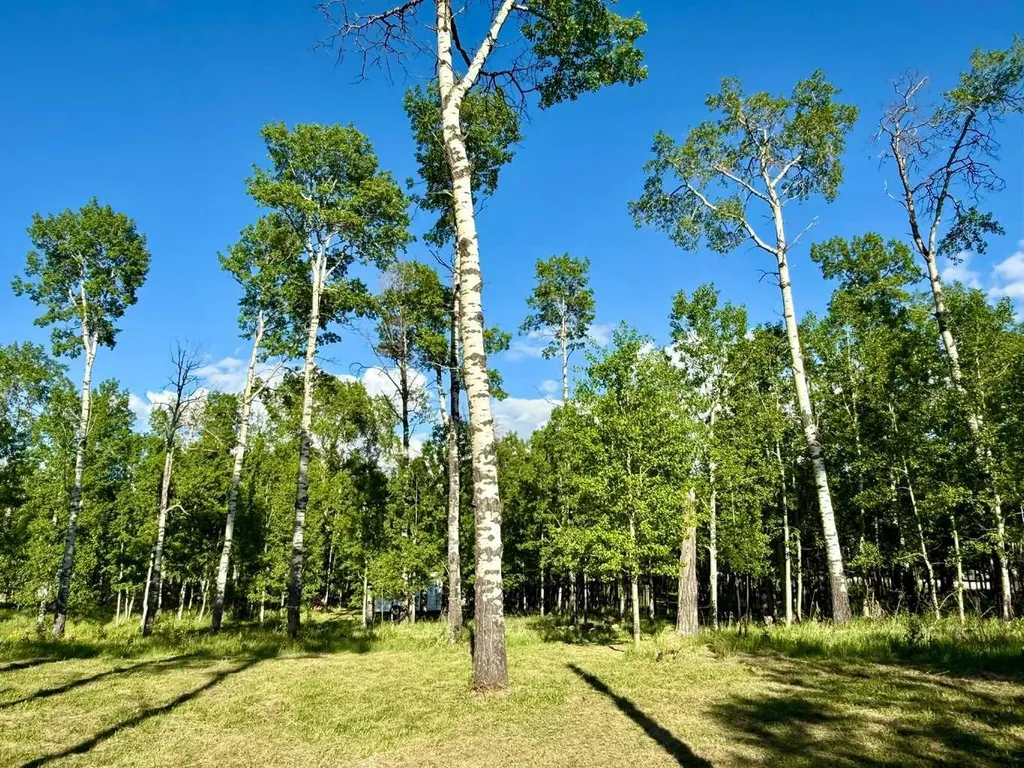 5228 Highway 579 Rural Mountain View County AB T0M 2E0