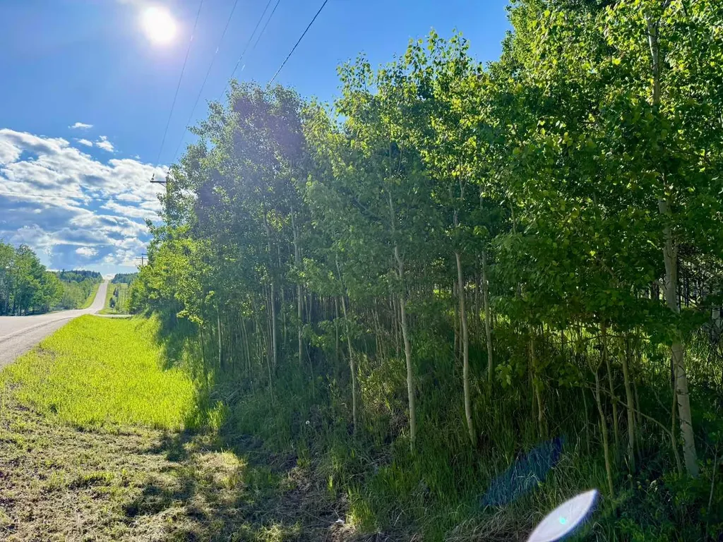 5228 Highway 579 Rural Mountain View County AB T0M 2E0