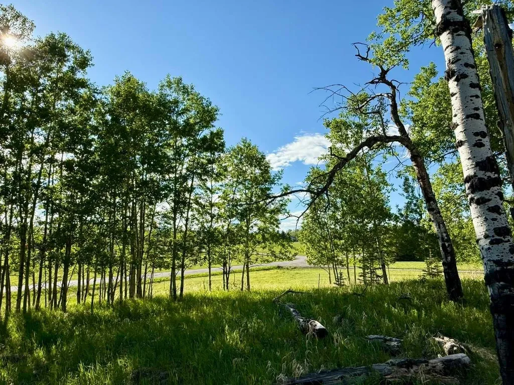 5228 Highway 579 Rural Mountain View County AB T0M 2E0