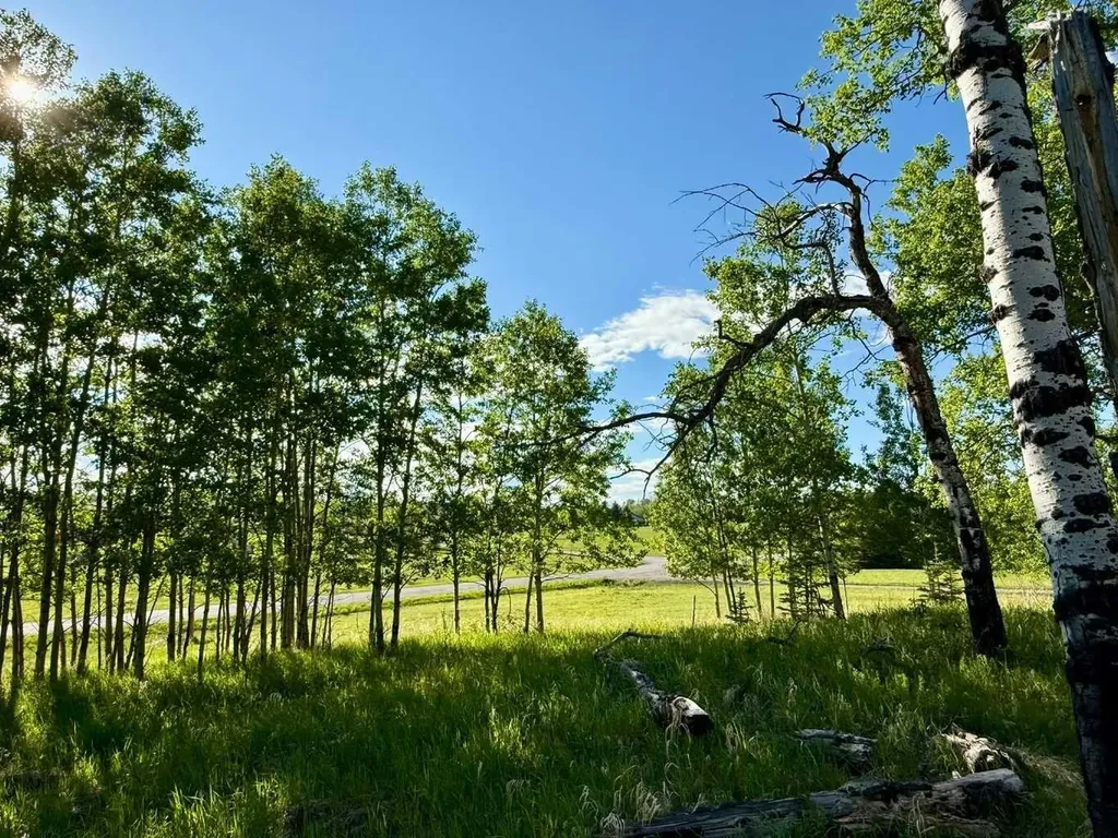 5228 Highway 579 Rural Mountain View County AB T0M 2E0