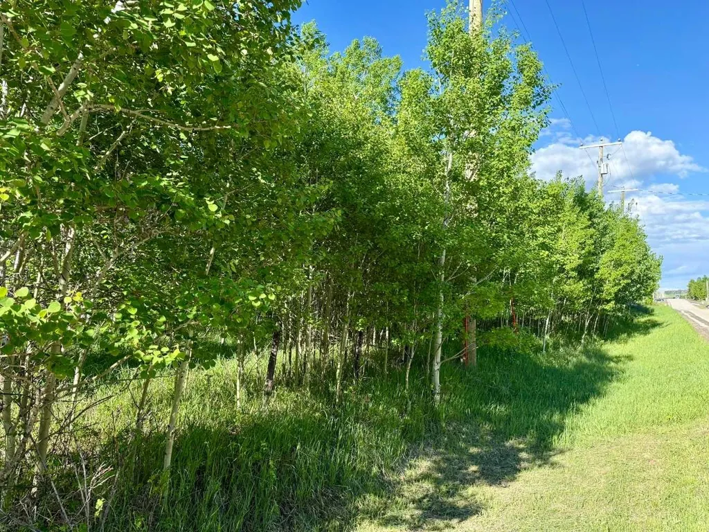 5228 Highway 579 Rural Mountain View County AB T0M 2E0