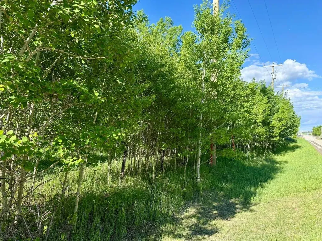 5228 Highway 579 Rural Mountain View County AB T0M 2E0