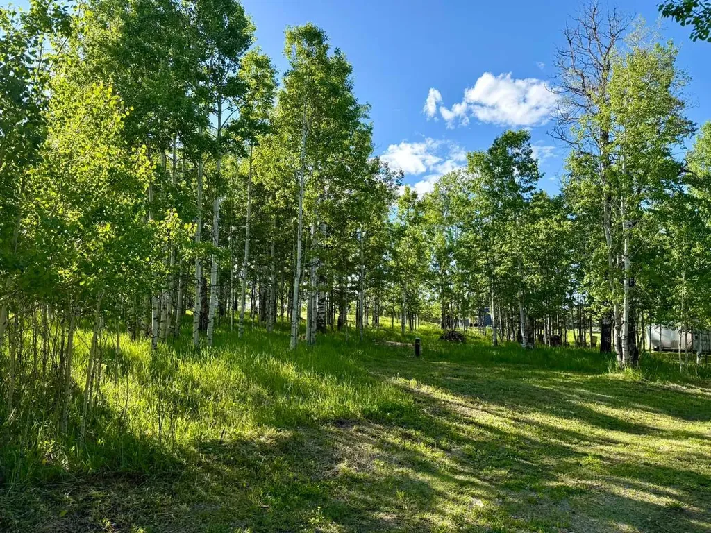 5228 Highway 579 Rural Mountain View County AB T0M 2E0