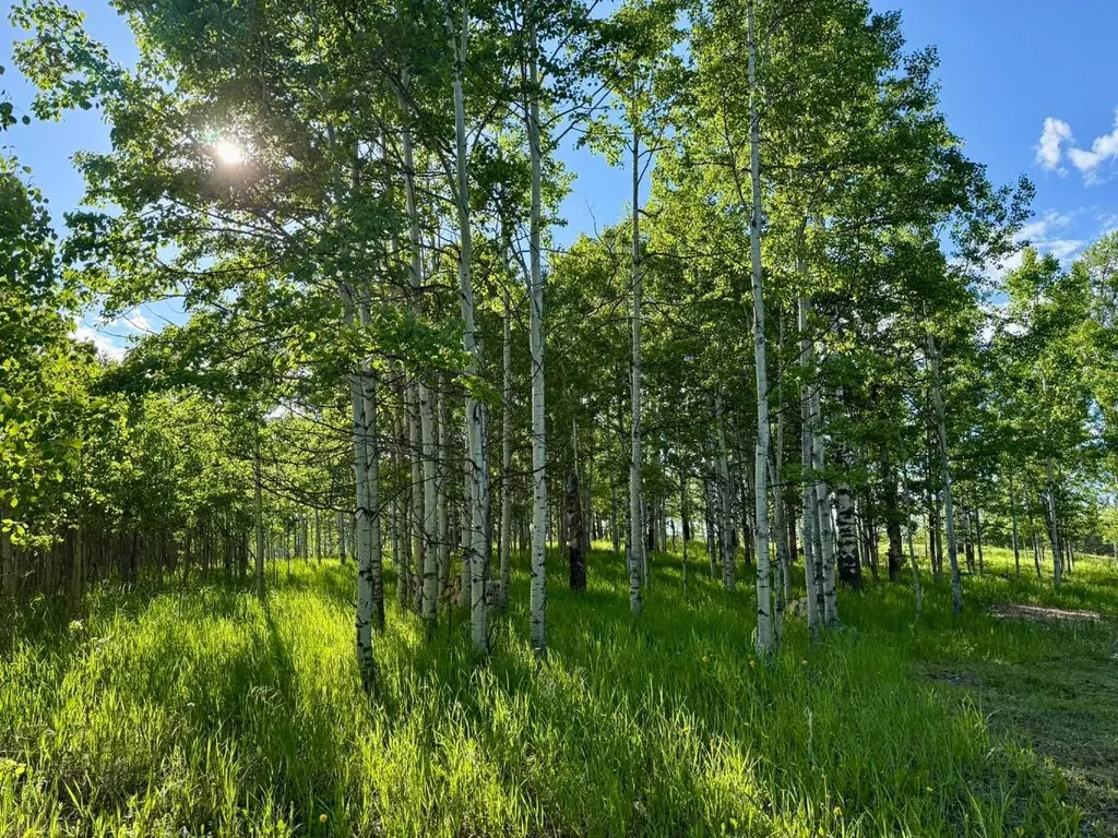5228 Highway 579 Rural Mountain View County AB T0M 2E0