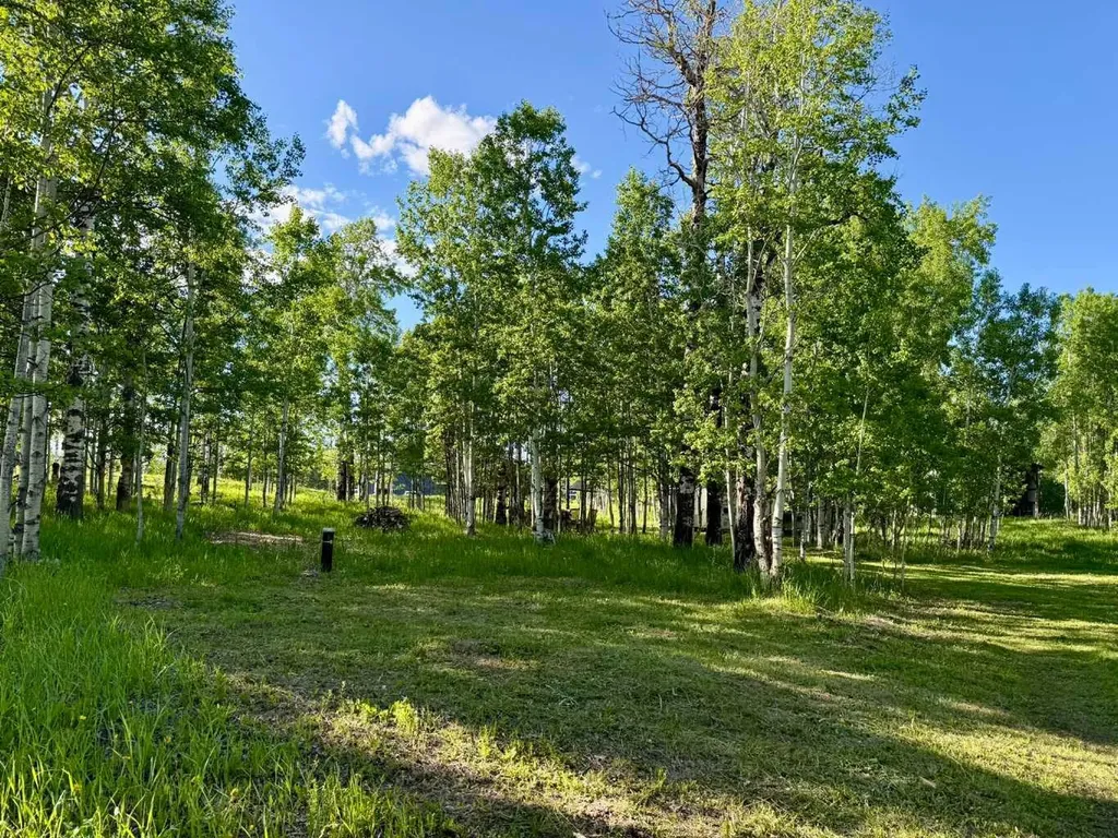 5228 Highway 579 Rural Mountain View County AB T0M 2E0