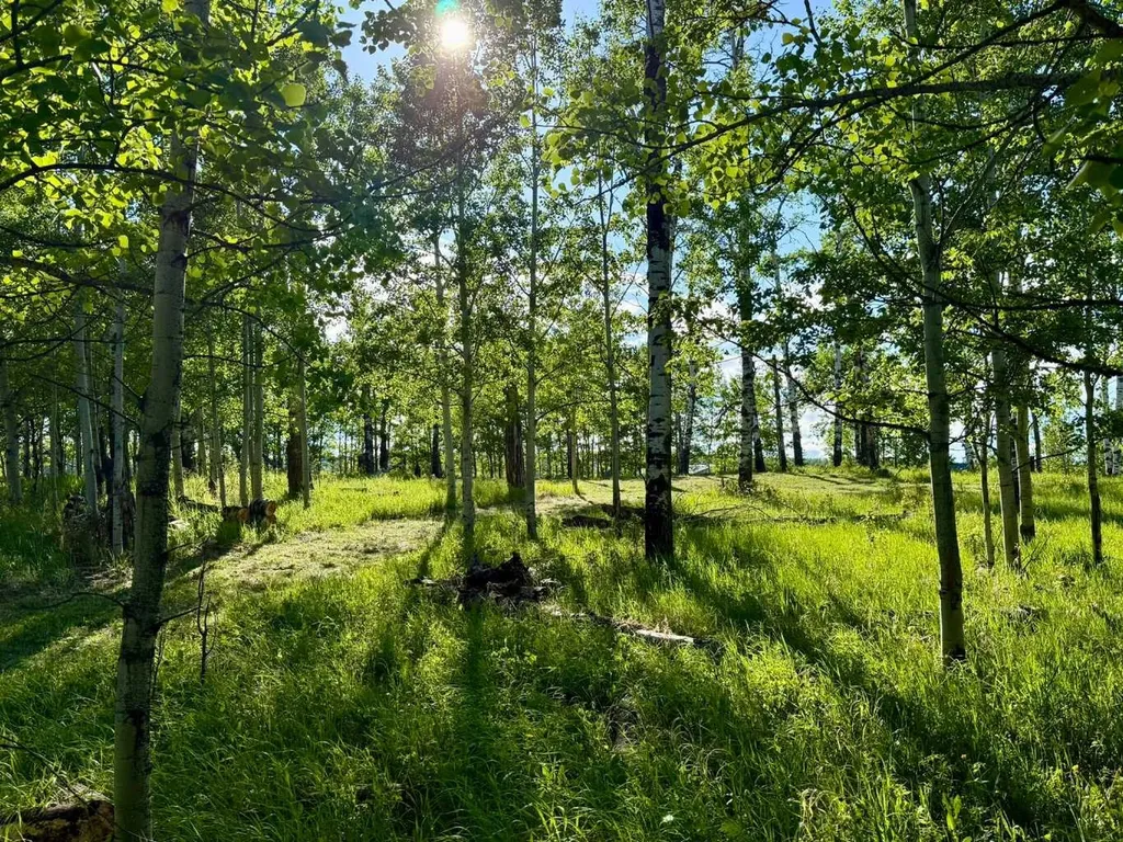5228 Highway 579 Rural Mountain View County AB T0M 2E0