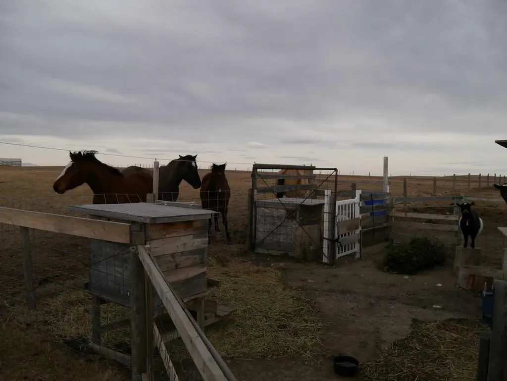 Unknown Rr272 Southern Ab Rural Cardston County AB T0K 1N0