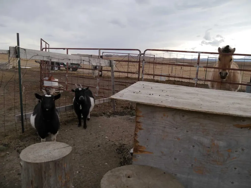 Unknown Rr272 Southern Ab Rural Cardston County AB T0K 1N0