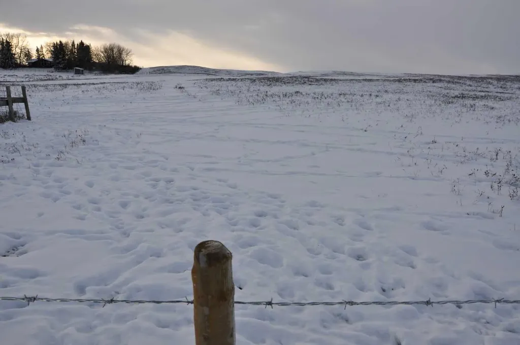 Range Road 14 Big Hill Springs Rural Rocky View County AB T0T 0T0