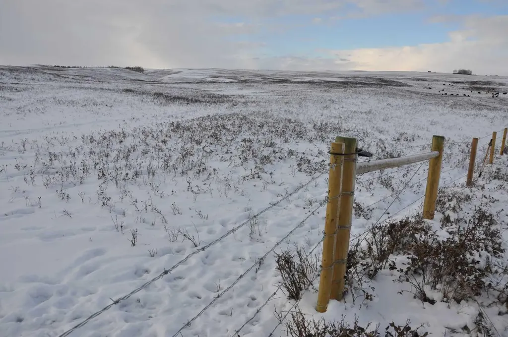 Range Road 14 Big Hill Springs Rural Rocky View County AB T0T 0T0