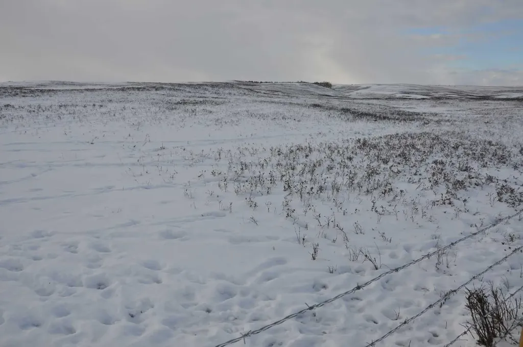 Range Road 14 Big Hill Springs Rural Rocky View County AB T0T 0T0