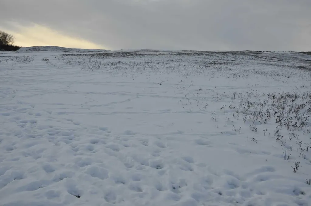 Range Road 14 Big Hill Springs Rural Rocky View County AB T0T 0T0
