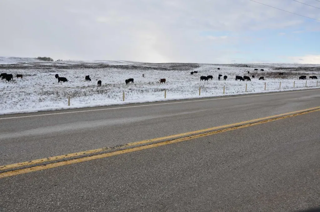 Range Road 14 Big Hill Springs Rural Rocky View County AB T0T 0T0