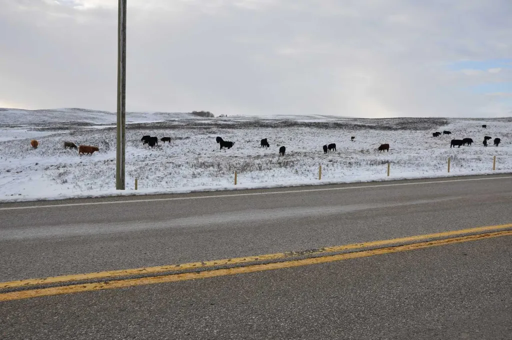 Range Road 14 Big Hill Springs Rural Rocky View County AB T0T 0T0