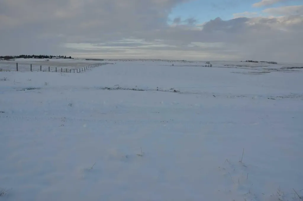 Range Road 14 Big Hill Springs Rural Rocky View County AB T0T 0T0