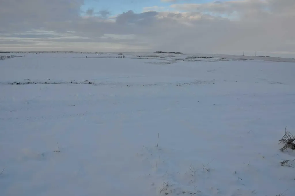 Range Road 14 Big Hill Springs Rural Rocky View County AB T0T 0T0