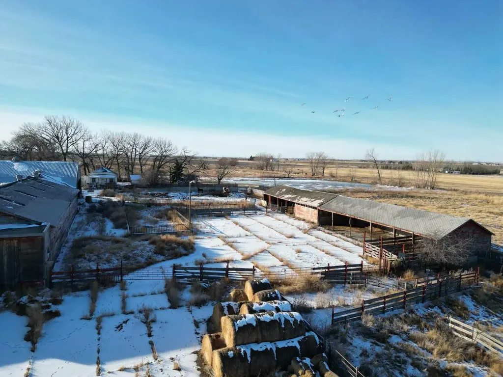 24 213032 Twp Road 94 Rural Lethbridge County AB T1J 5R2