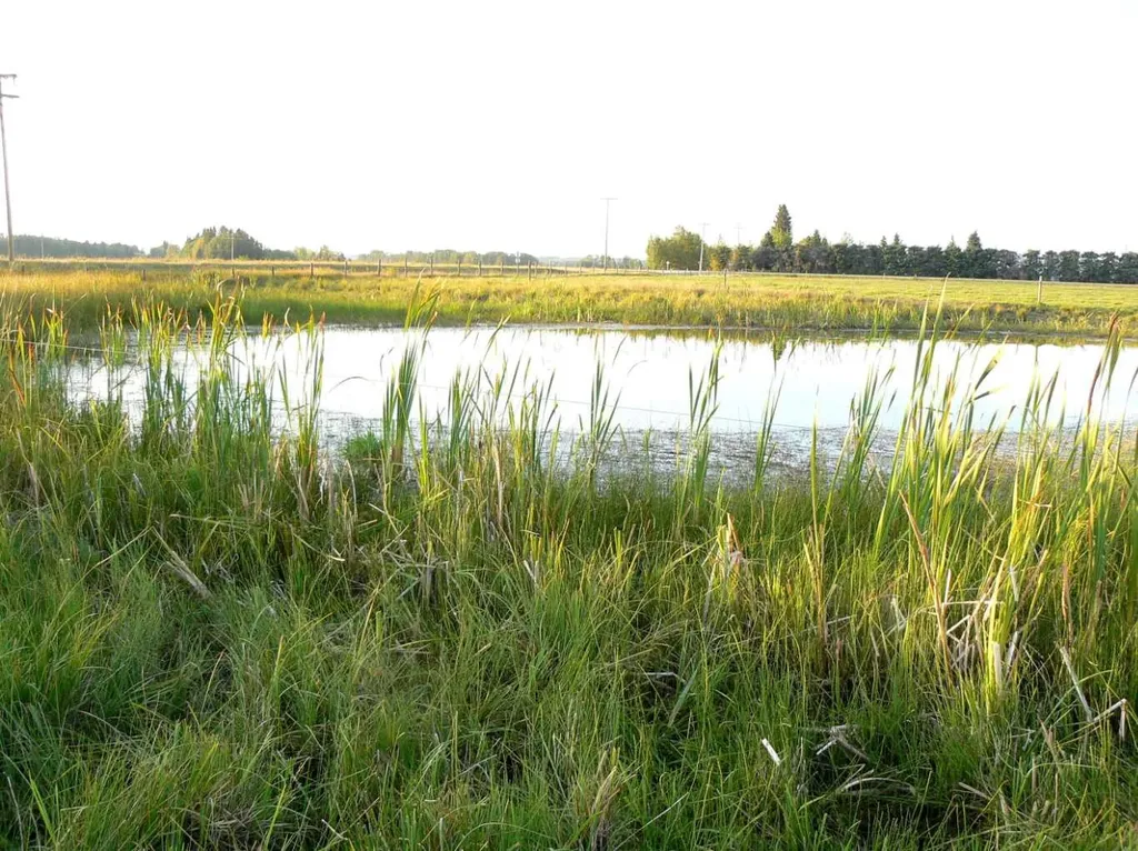 394075 Range Road 5-5 Rural Clearwater County AB T0M 1H0
