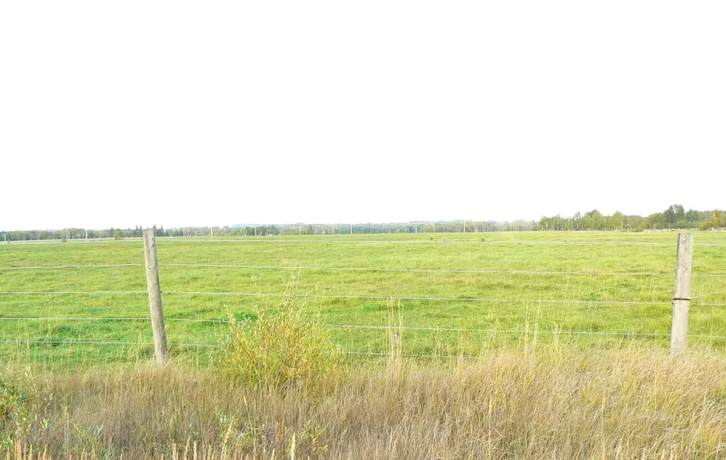 394075 Range Road 5-5 Rural Clearwater County AB T0M 1H0