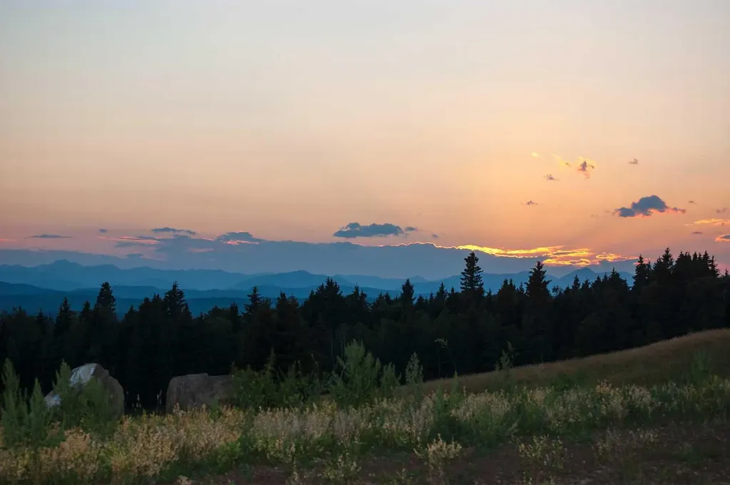 256142 Whiskey Springs Hill W Rural Foothills County AB T0L 1W4