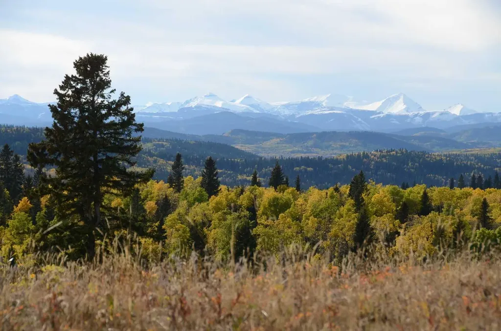 256142 Whiskey Springs Hill W Rural Foothills County AB T0L 1W4