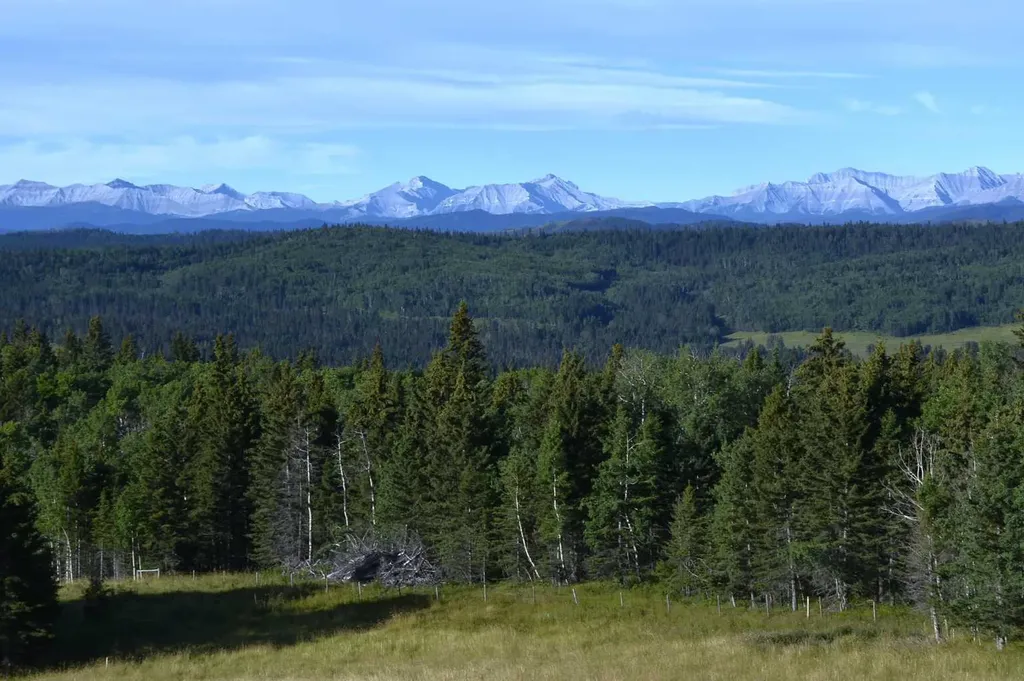 256142 Whiskey Springs Hill W Rural Foothills County AB T0L 1W4