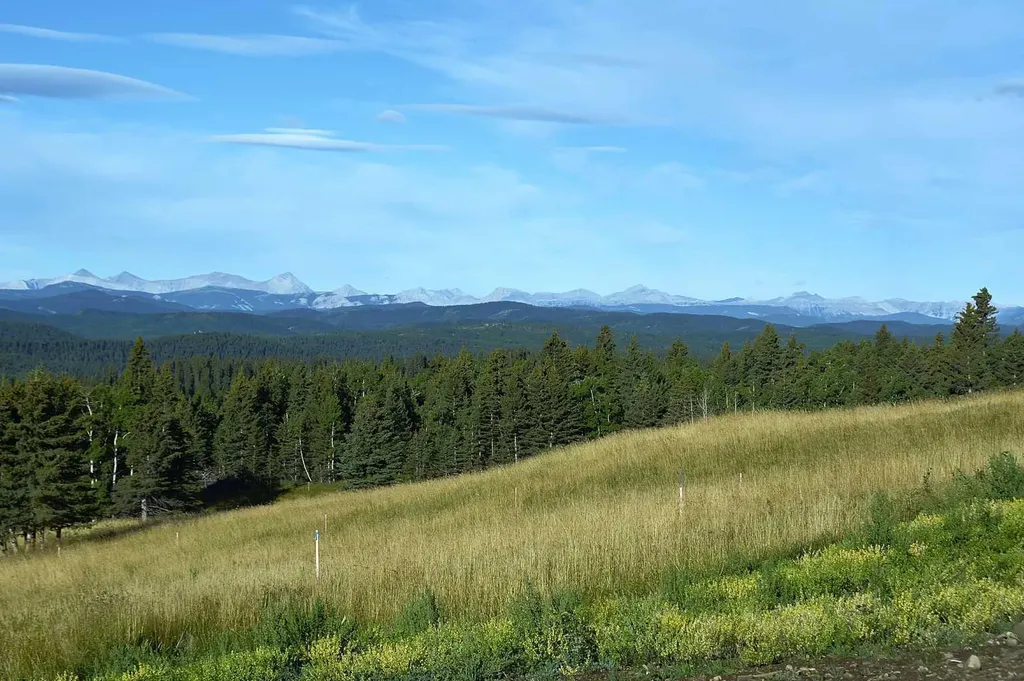 256142 Whiskey Springs Hill W Rural Foothills County AB T0L 1W4
