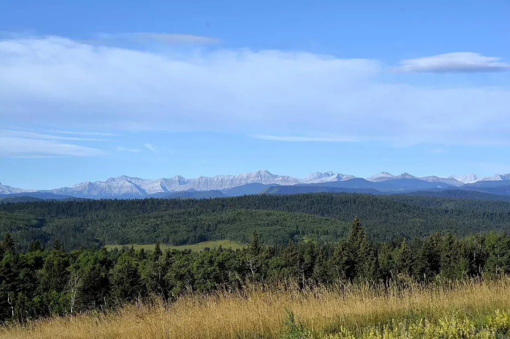 256142 Whiskey Springs Hill W Rural Foothills County AB T0L 1W4