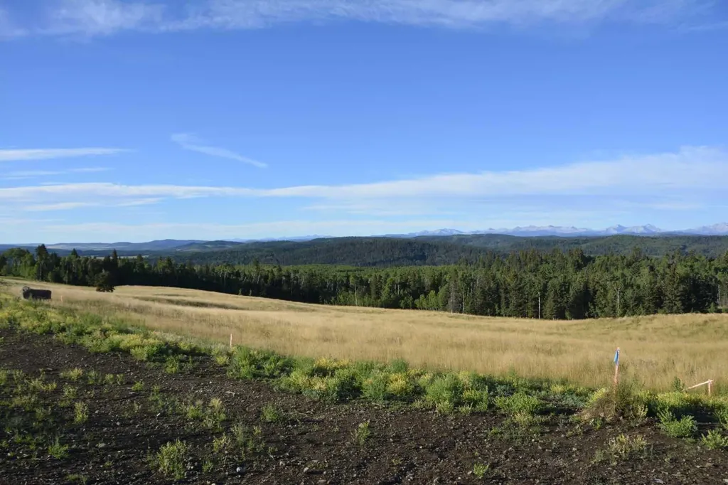 256142 Whiskey Springs Hill W Rural Foothills County AB T0L 1W4