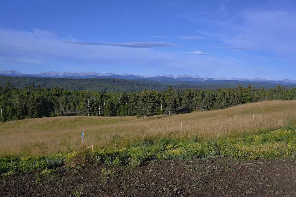 256142 Whiskey Springs Hill W Rural Foothills County AB T0L 1W4
