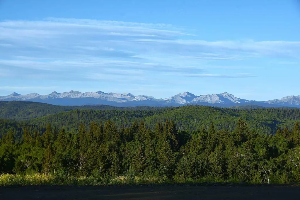256142 Whiskey Springs Hill W Rural Foothills County AB T0L 1W4