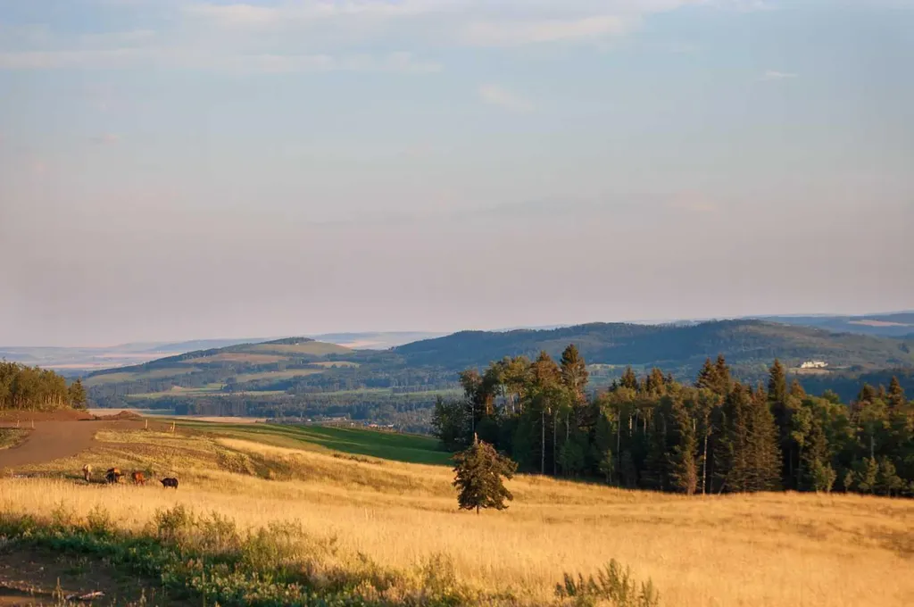 256142 Whiskey Springs Hill W Rural Foothills County AB T0L 1W4