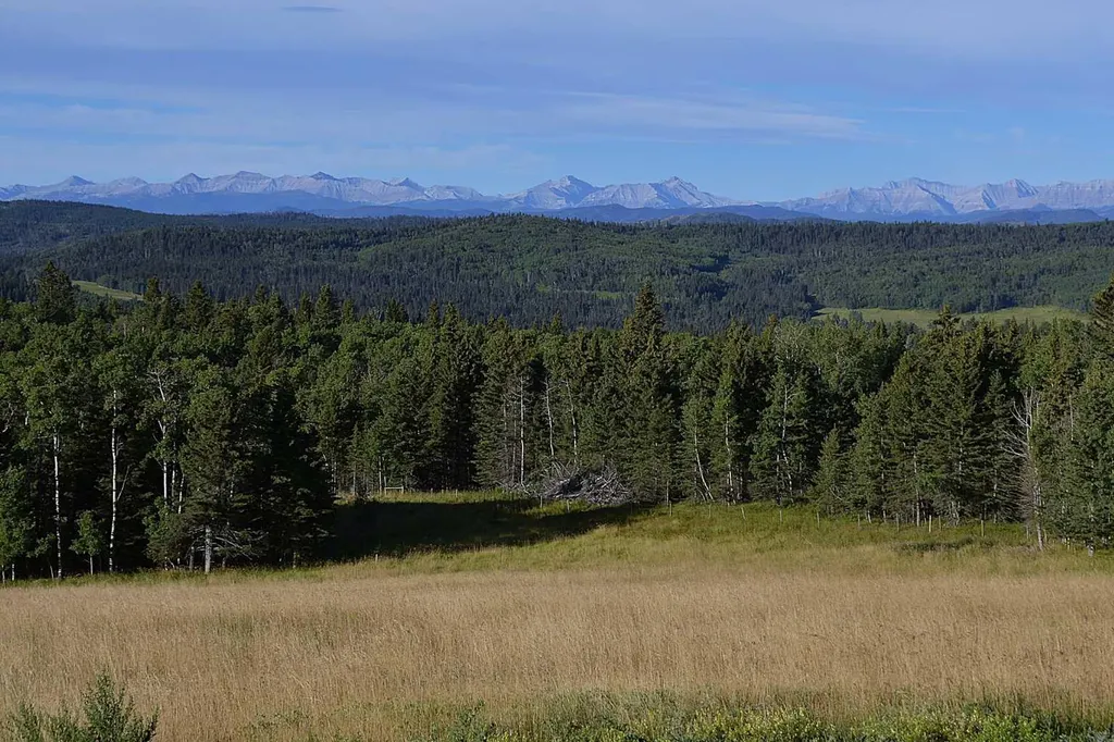 256142 Whiskey Springs Hill W Rural Foothills County AB T0L 1W4