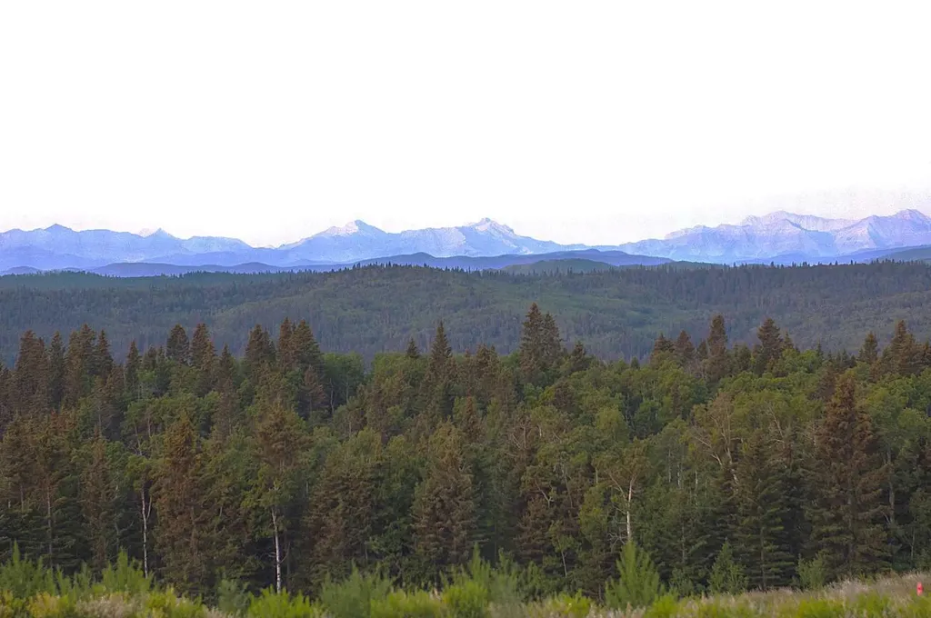 256142 Whiskey Springs Hill W Rural Foothills County AB T0L 1W4