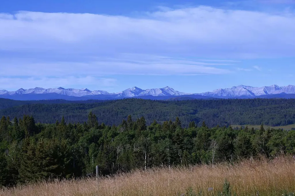 256142 Whiskey Springs Hill W Rural Foothills County AB T0L 1W4