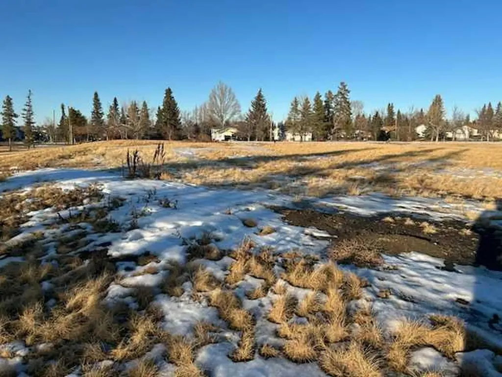 Plan: 1013905 Block:3, Lot: 2 Three Hills AB T0M2N0