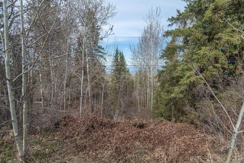 40421 Range Road 10 Rural Lacombe County AB T4L 1S6