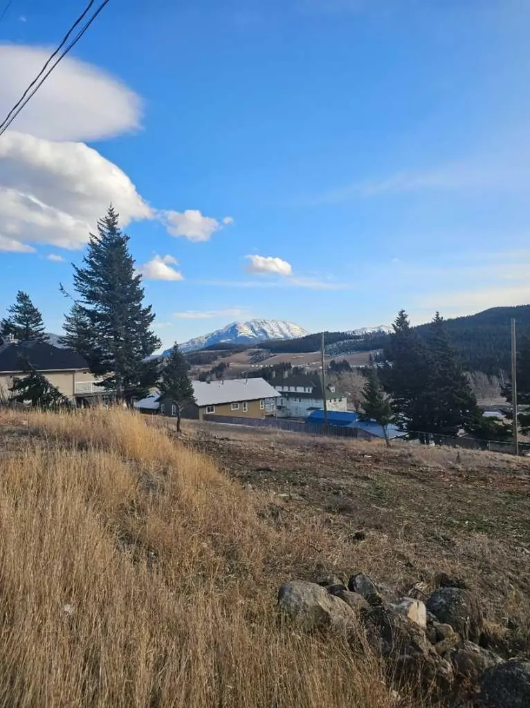 6502 22 Avenue Coleman AB T0K0E0