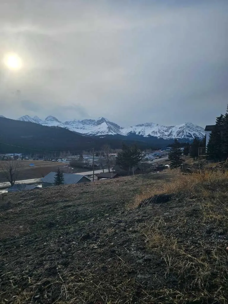 6502 22 Avenue Coleman AB T0K0E0