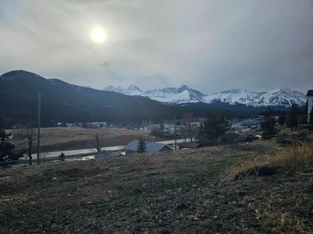 6502 22 Avenue Coleman AB T0K0E0