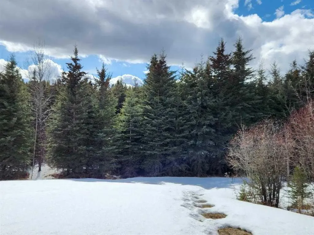 55421 Rr 184 Rural Yellowhead County AB T7E 1T5