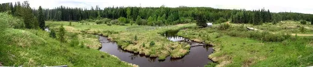 55421 Rr 184 Rural Yellowhead County AB T7E 1T5