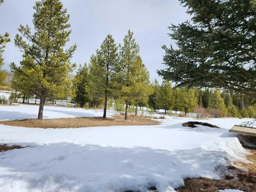 55421 Rr 184 Rural Yellowhead County AB T7E 1T5