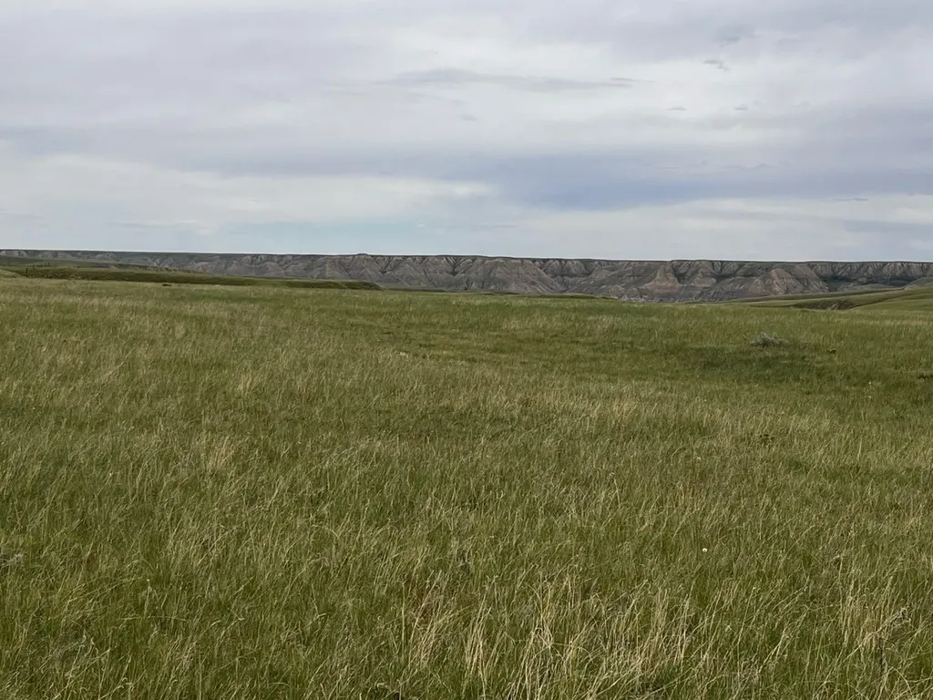 Ne, NW 27 20 1 W4, All Sec 28 20 1 W4, SE 29&se 34 Rural Cypress County AB T0J 0H0