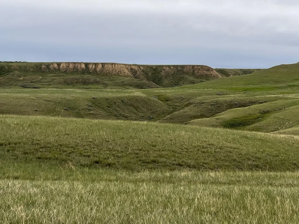 Ne, NW 27 20 1 W4, All Sec 28 20 1 W4, SE 29&se 34 Rural Cypress County AB T0J 0H0