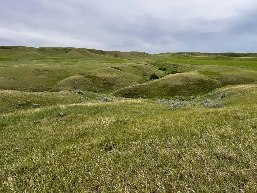 Ne, NW 27 20 1 W4, All Sec 28 20 1 W4, SE 29&se 34 Rural Cypress County AB T0J 0H0