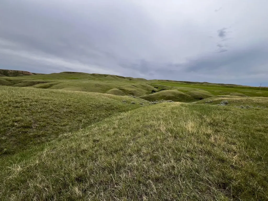 Ne, NW 27 20 1 W4, All Sec 28 20 1 W4, SE 29&se 34 Rural Cypress County AB T0J 0H0